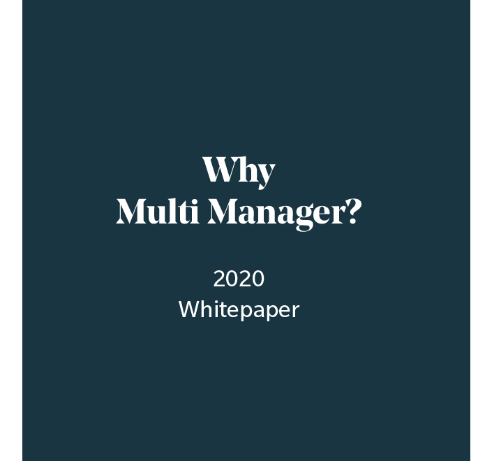 Why Multi Manager