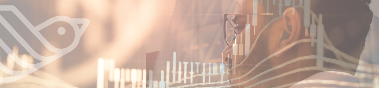 Diversification: A powerful portfolio management tool